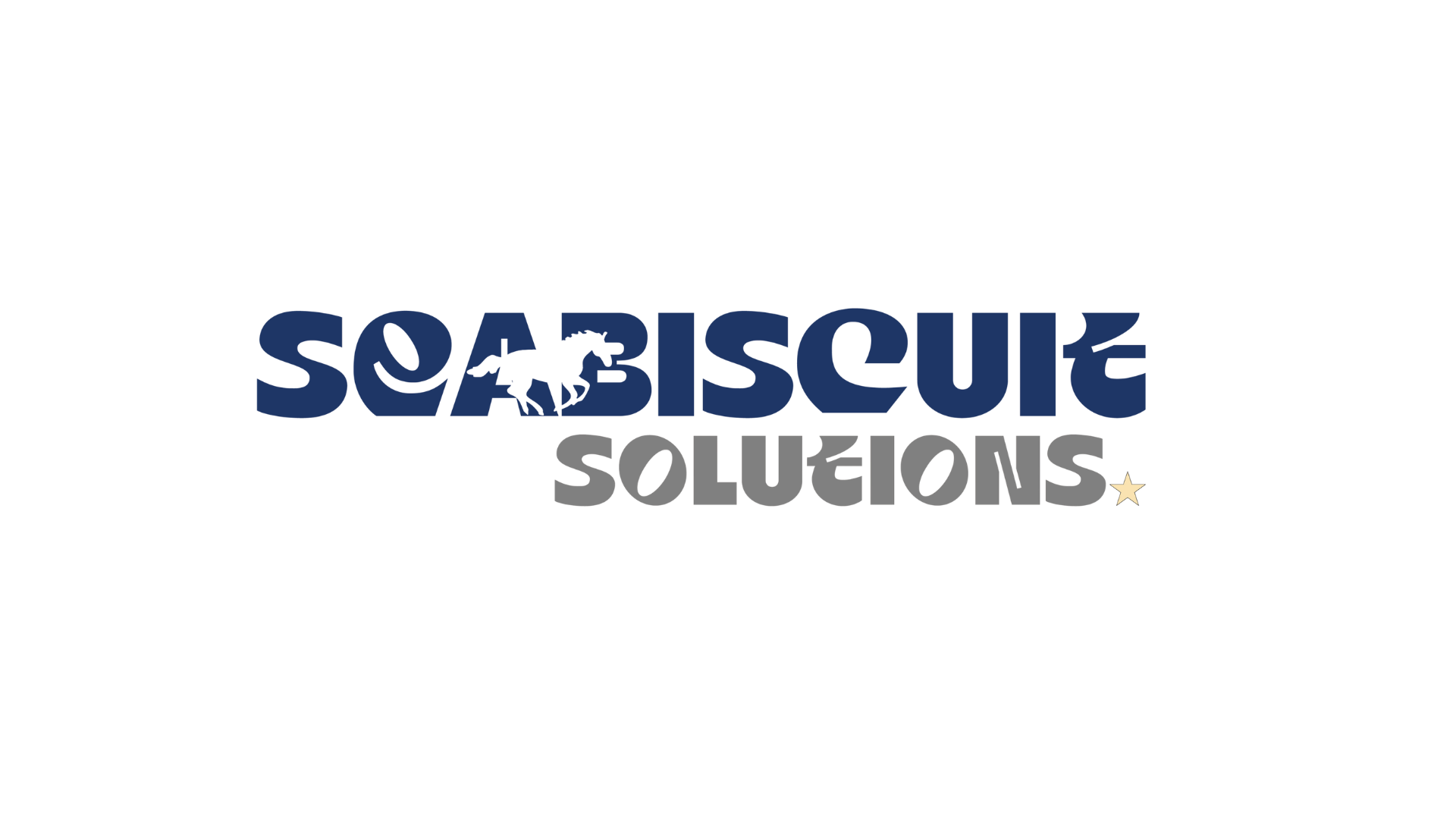 Seabiscuit Solutions